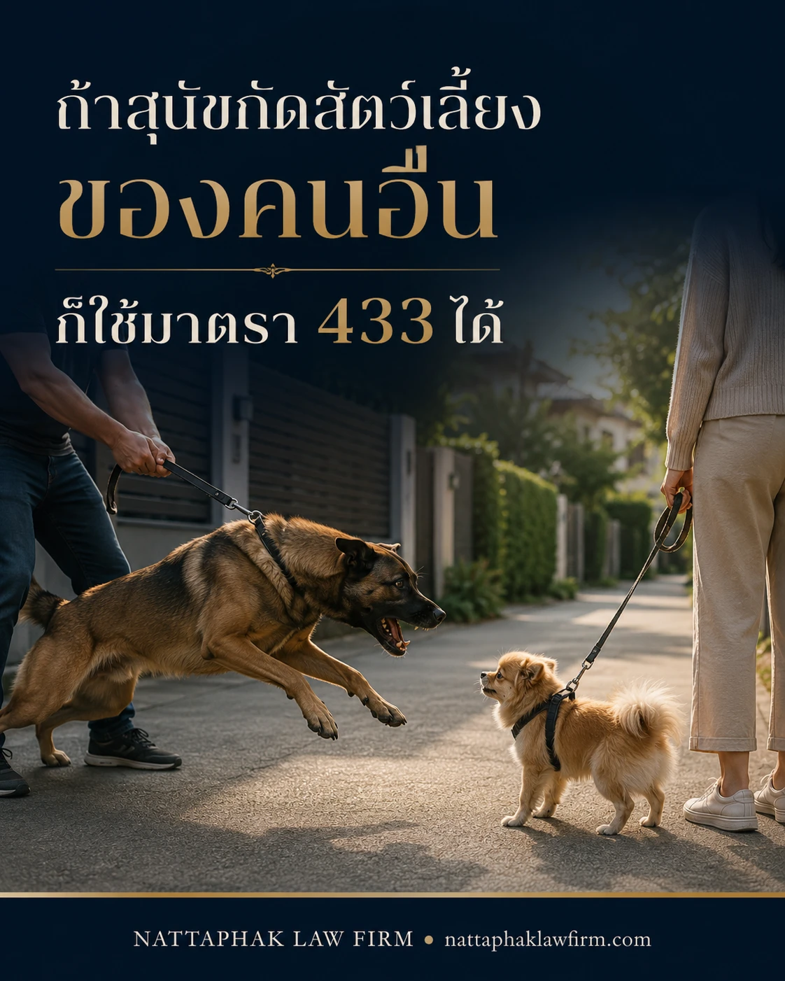 ChatGPT-Image-27-.-.-2569-17_29_01-8